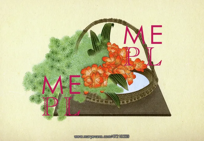  : JAPANESE ARRANGEMENT - 4