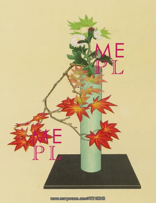 : JAPANESE ARRANGEMENT - 7 : JAPANESE ARRANGEMENT - 7