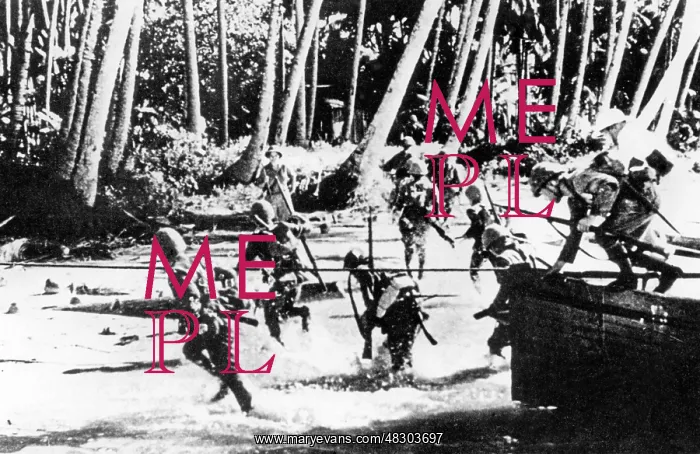 : Japanese attack on the Dutch Indies, 1941 : Japanese attack on the Dutch Indies, 1941