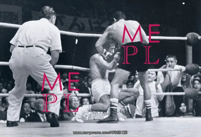 : Japanese Boxer Shozo Saijo : Japanese Boxer Shozo Saijo