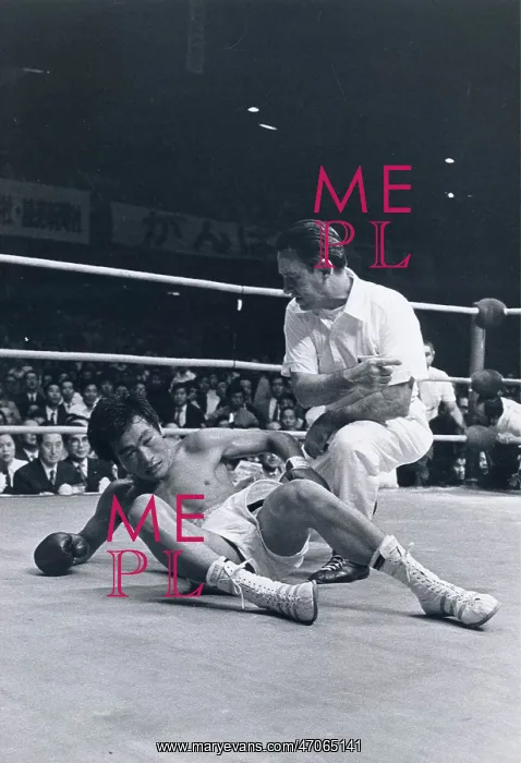 : Japanese Boxer Shozo Saijo : Japanese Boxer Shozo Saijo
