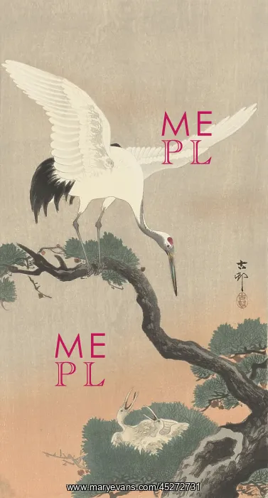 : Japanese Crane on Pine Branch : Japanese Crane on Pine Branch