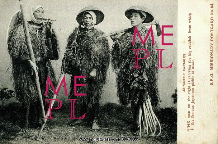 : Three Japanese farmers : Three Japanese farmers
