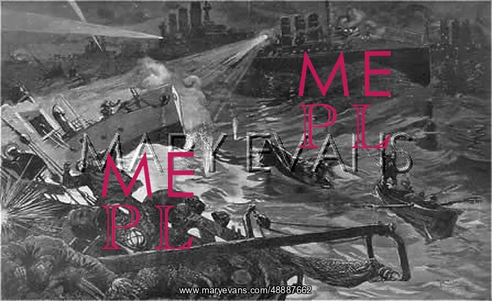 : JAPANESE FLEET INCIDENT : JAPANESE FLEET INCIDENT