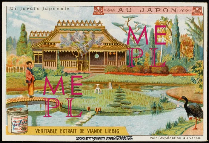 : JAPANESE GARDEN : JAPANESE GARDEN