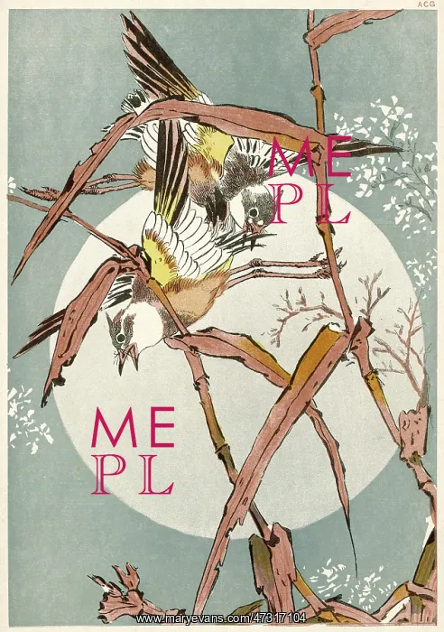 : JAPANESE GARDEN WARBLERS : JAPANESE GARDEN WARBLERS