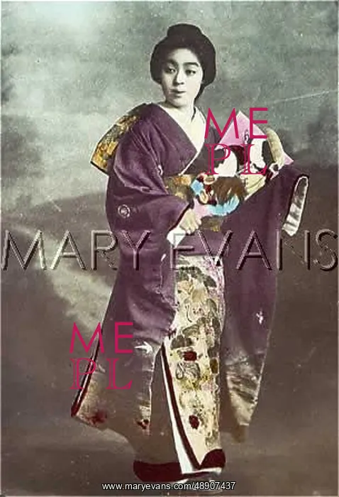  : JAPANESE GEISHA / C1900