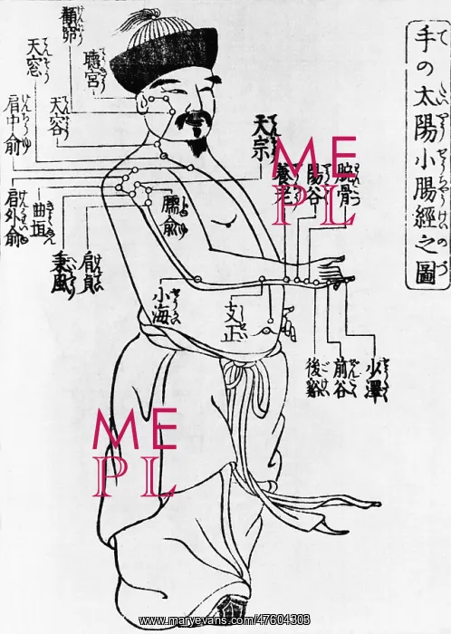 : Japanese Illustration of Acupuncture Points, 1805 : Japanese Illustration of Acupuncture Points, 1805