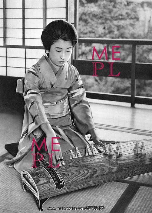 : A Japanese Koto player : A Japanese Koto player