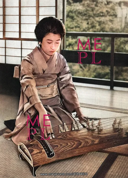 : A Japanese Koto player : A Japanese Koto player
