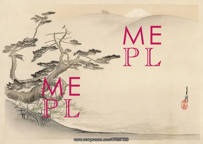 : Japanese landscape : Japanese landscape