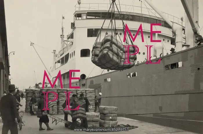 : Japanese longshoremen loading bundles of ? : Japanese longshoremen loading bundles of ?