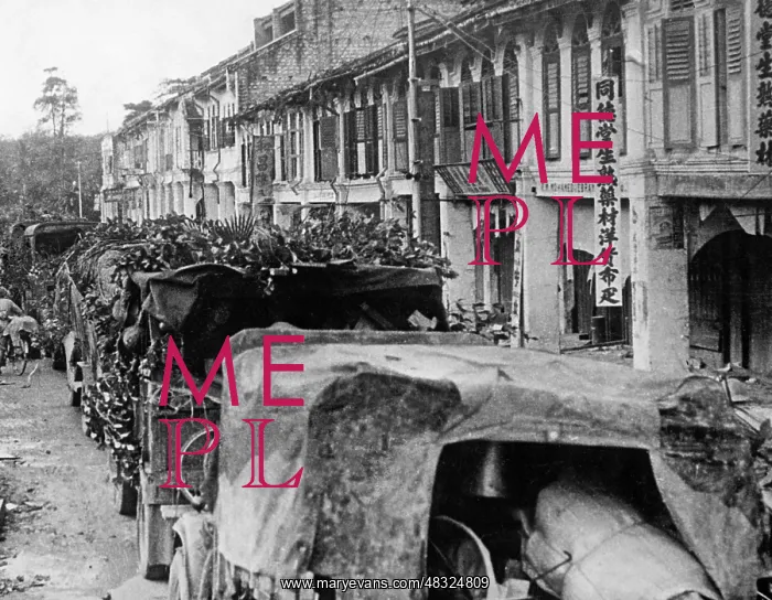 : Japanese occupation of Indochina, 1940 : Japanese occupation of Indochina, 1940