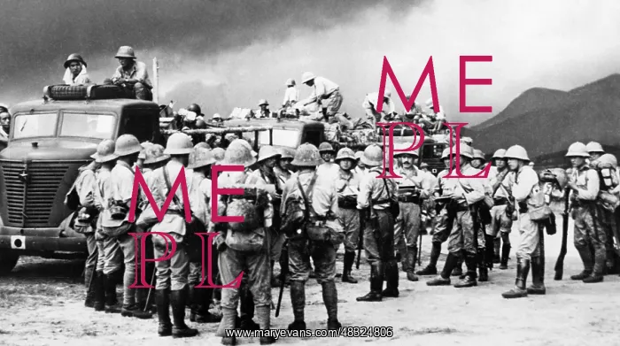 : Japanese occupation of Indochina, 1941 : Japanese occupation of Indochina, 1941