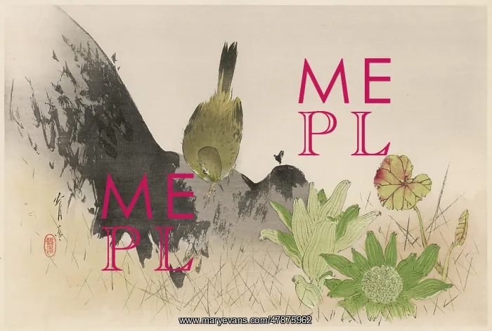 : JAPANESE PRINT - BIRD : JAPANESE PRINT - BIRD