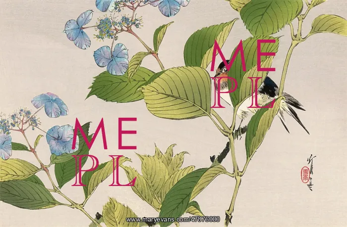 : JAPANESE PRINT - BIRD : JAPANESE PRINT - BIRD