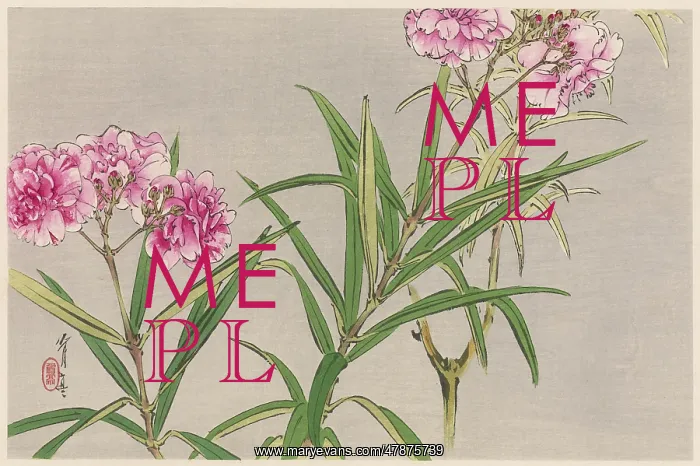 : JAPANESE PRINT - BLOOMS : JAPANESE PRINT - BLOOMS