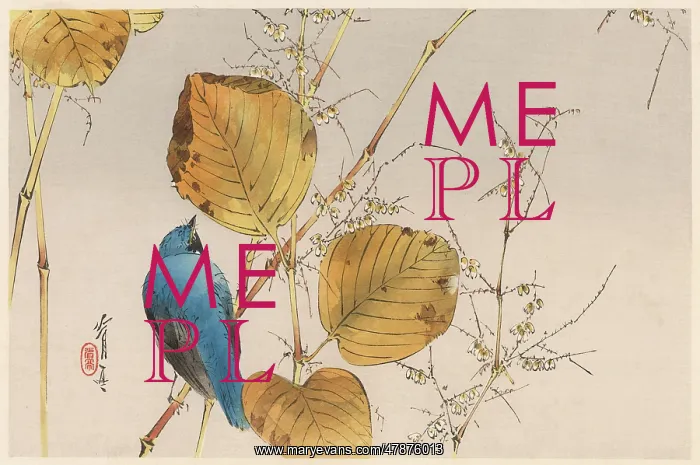 : JAPANESE PRINT-BLUE BIRD : JAPANESE PRINT-BLUE BIRD