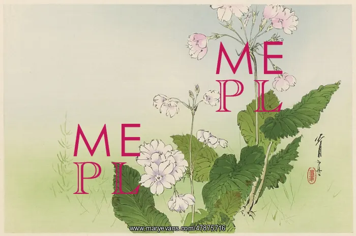 : JAPANESE PRINT - FLOWERS : JAPANESE PRINT - FLOWERS