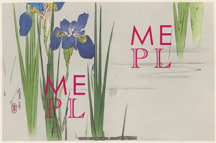 : JAPANESE PRINT - IRIS : JAPANESE PRINT - IRIS