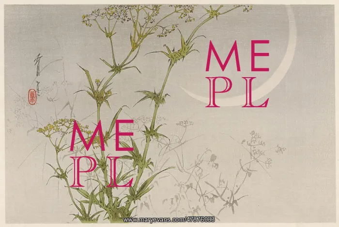 : JAPANESE PRINT - MOON : JAPANESE PRINT - MOON