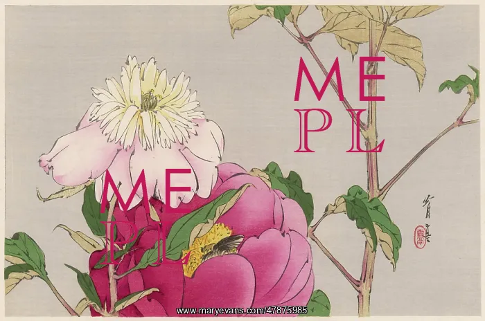 : JAPANESE PRINT - MOTH : JAPANESE PRINT - MOTH