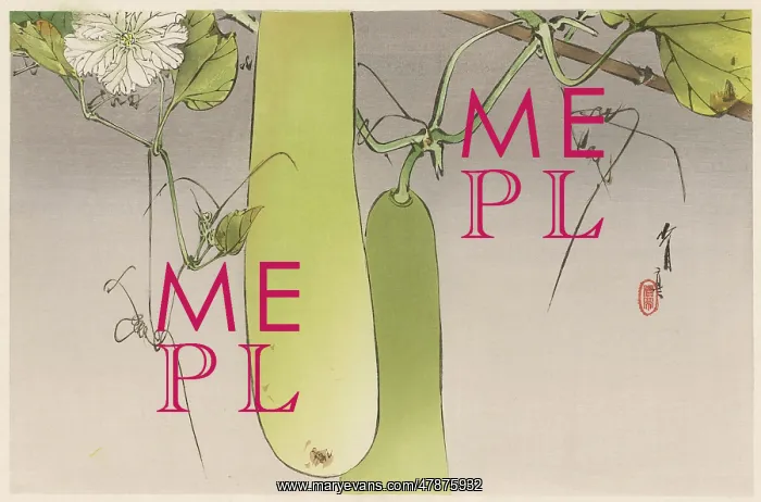 : JAPANESE PRINT-PEA PODS : JAPANESE PRINT-PEA PODS