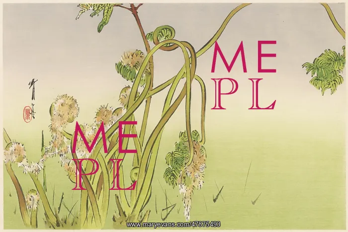 : JAPANESE PRINT - PLANTS : JAPANESE PRINT - PLANTS