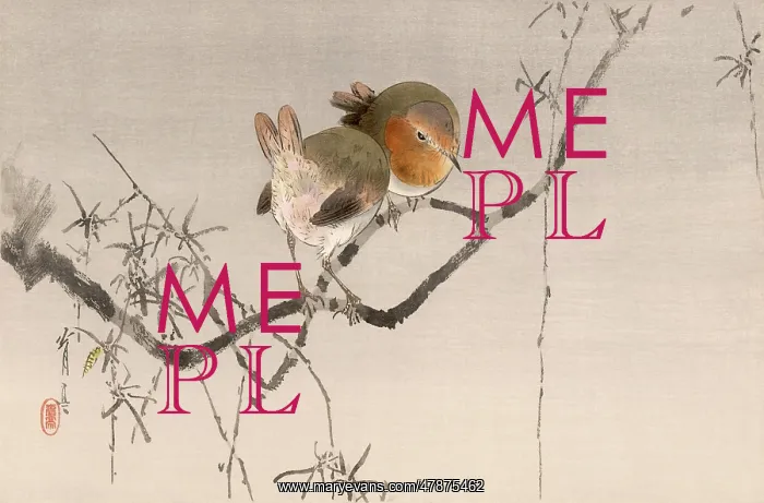 : JAPANESE PRINT - ROBINS : JAPANESE PRINT - ROBINS