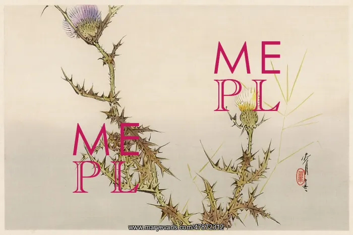 : Japanese Print - Thistles : Japanese Print - Thistles
