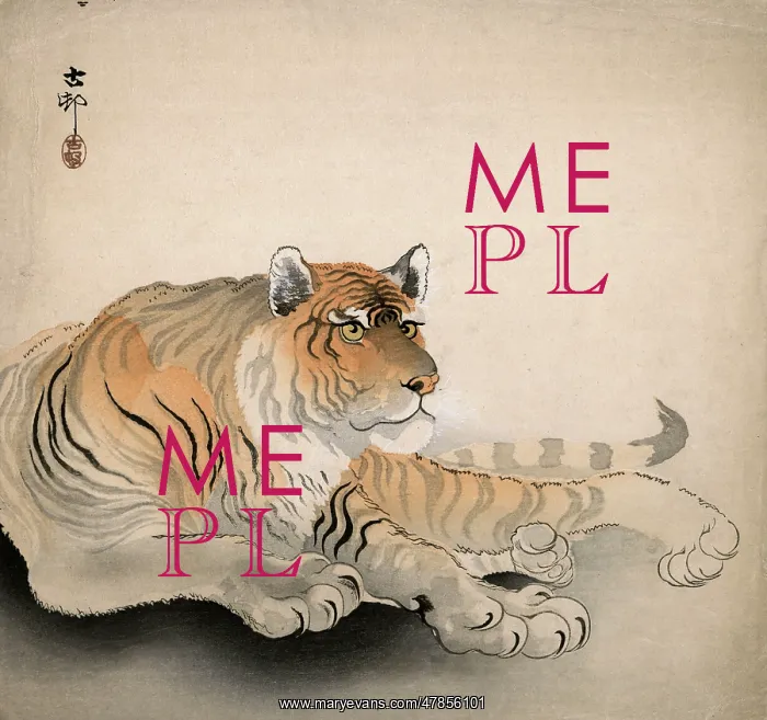: Japanese print of a Tiger : Japanese print of a Tiger
