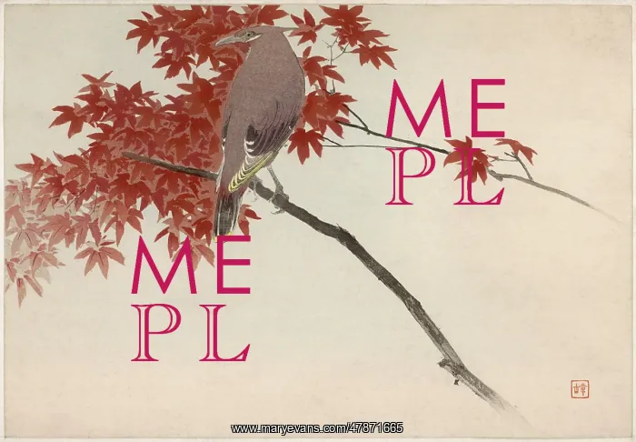 : Japanese print - Waxwing perching on thin branch : Japanese print - Waxwing perching on thin branch