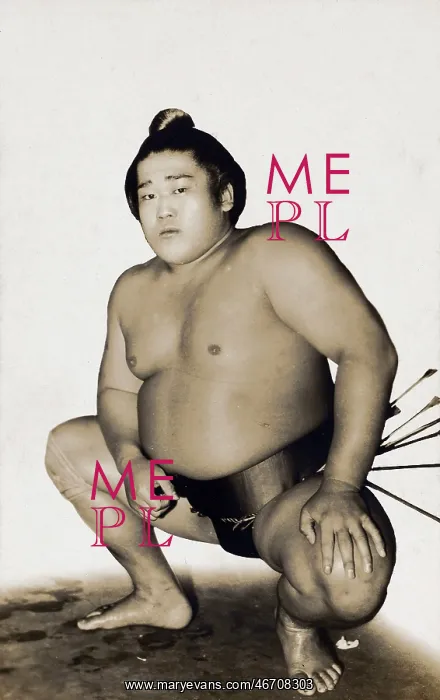  : Japanese Sumo Wrestler in traditional pose