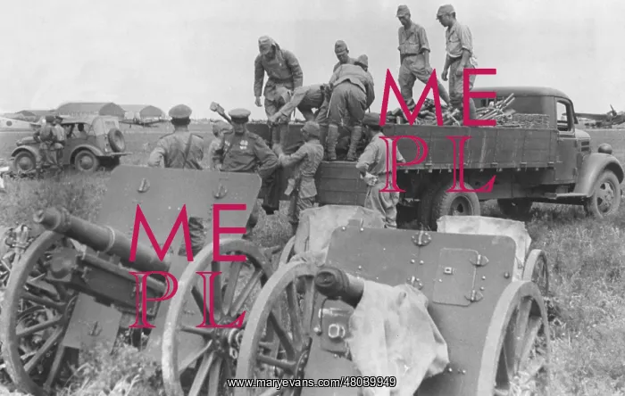 : Japanese surrender at Mukden : Japanese surrender at Mukden