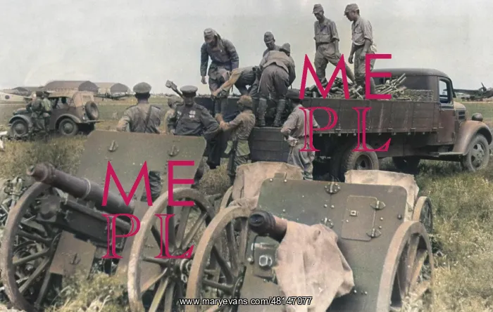 : Japanese surrender at Mukden : Japanese surrender at Mukden