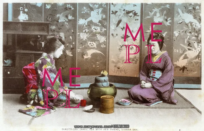 : The Japanese tea ceremony : The Japanese tea ceremony