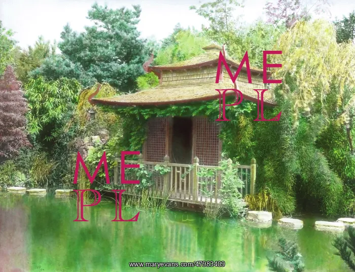 : Japanese tea house and pool : Japanese tea house and pool