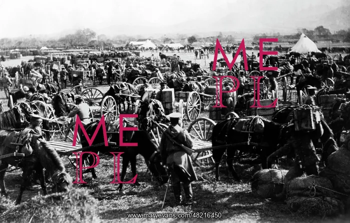  : Japanese train in Qingdao in the World War I