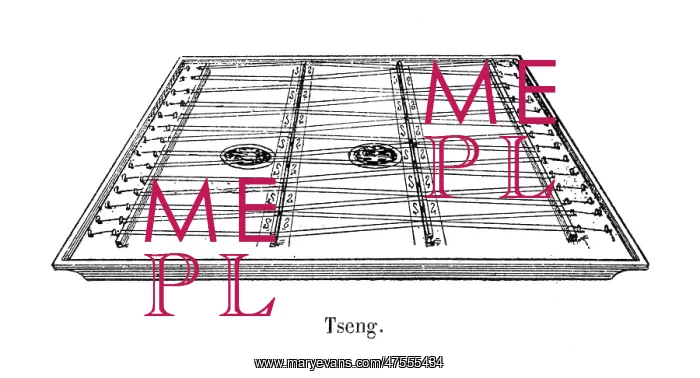  : A Japanese tseng or dulcimer