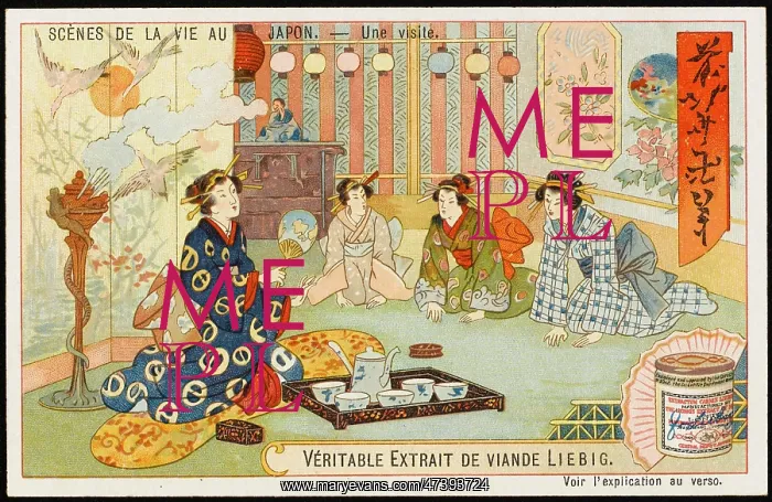  : JAPANESE VISIT