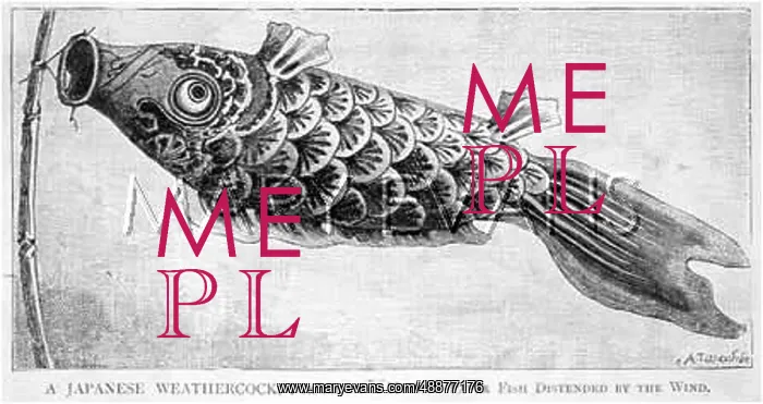 : JAPANESE WEATHERFISH : JAPANESE WEATHERFISH