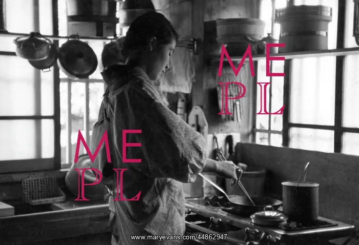: JAPANESE WOMAN COOKING : JAPANESE WOMAN COOKING