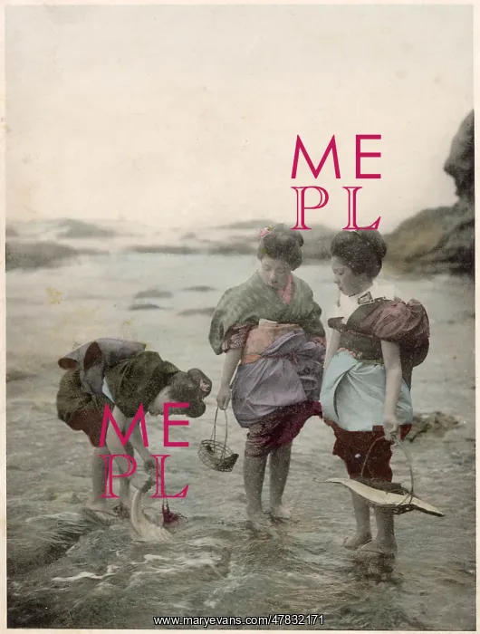  : Japanese women picking shellfish at low tide