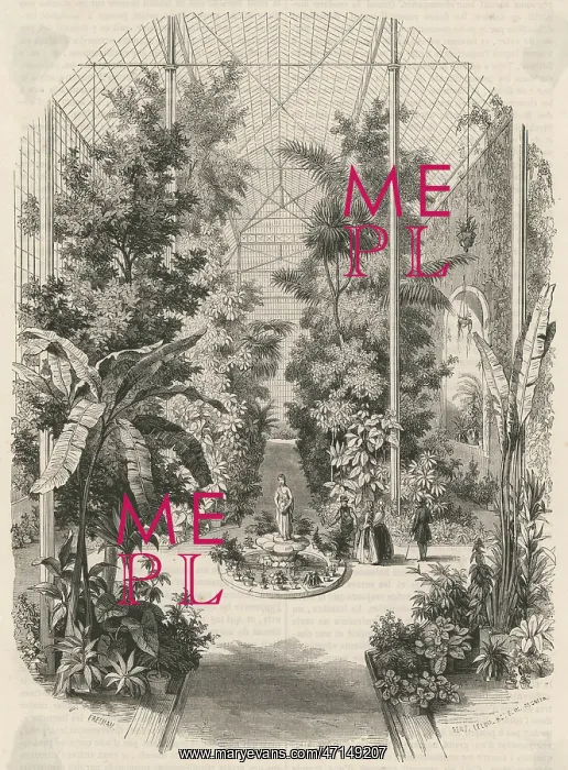 : Jardin des Plantes, Paris : Jardin des Plantes, Paris