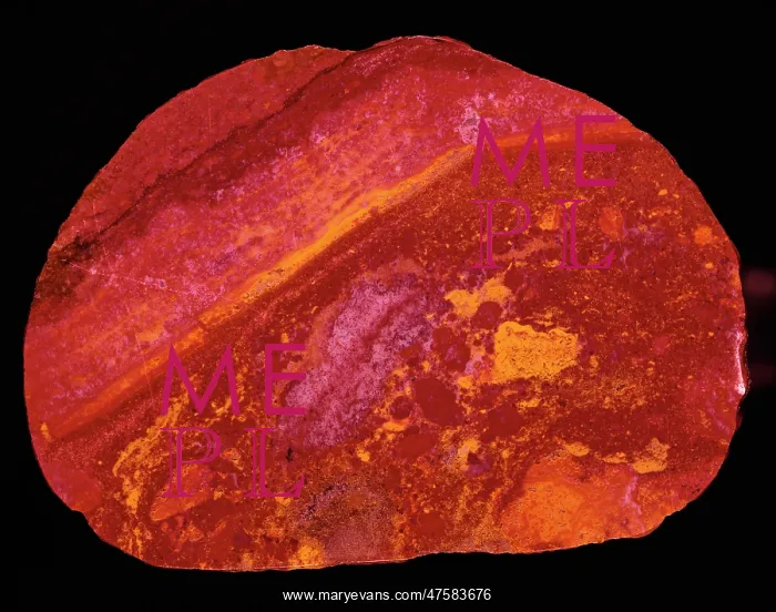 : Jasper. A polished slab of jasper from Campsie Fells, Stirlingshire : Jasper. A polished slab of jasper from Campsie Fells, Stirlingshire
