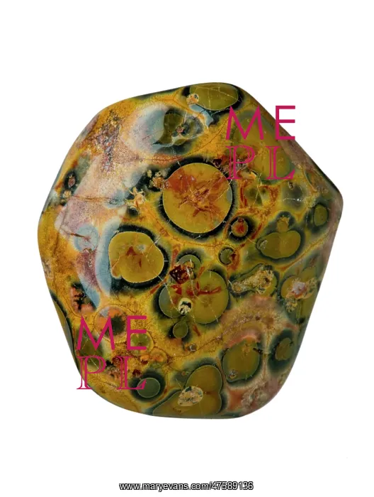  : Jasper. A specimen of spotted jasper