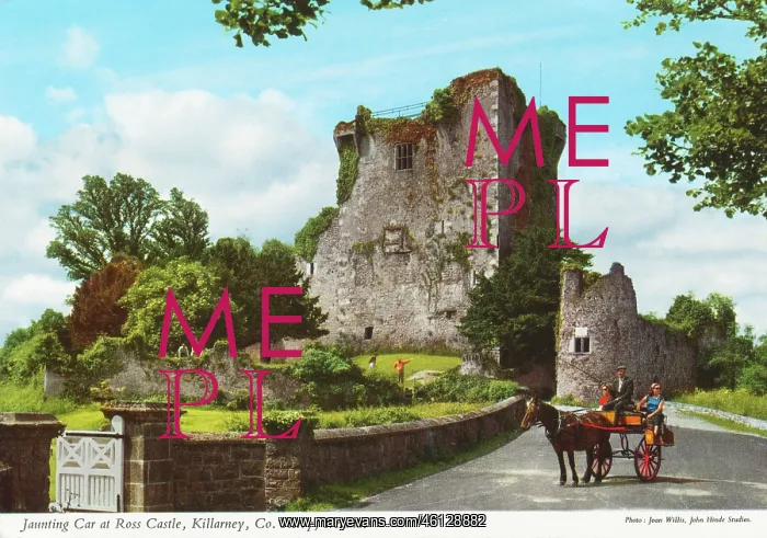 : Jaunting Car at Ross Castle, Killarney, County Kerry : Jaunting Car at Ross Castle, Killarney, County Kerry