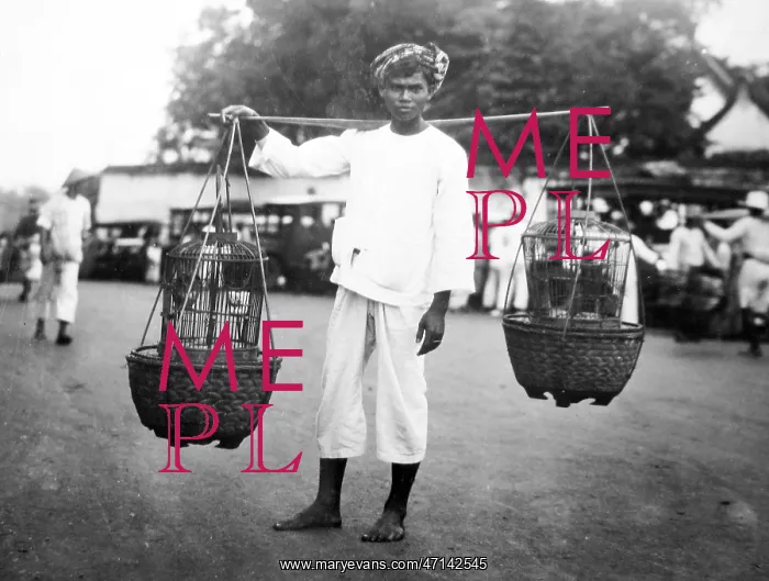  : Java Bird seller probably 1920s