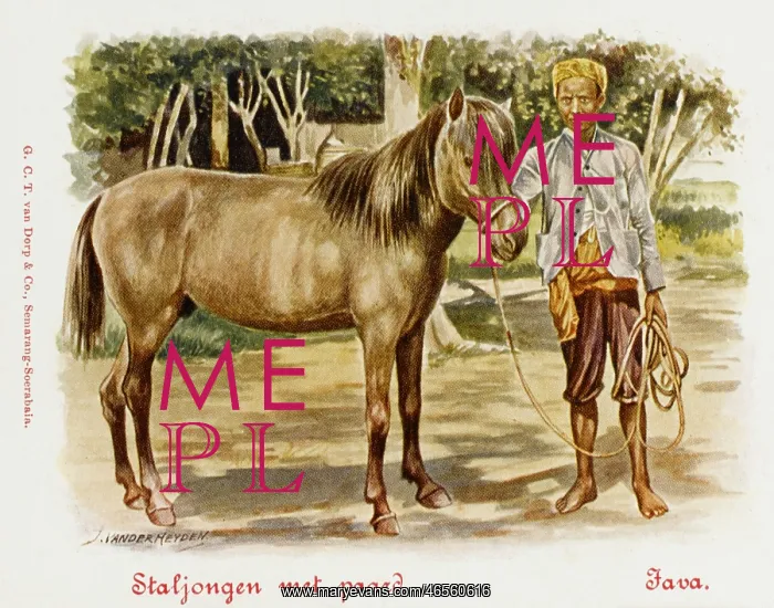  : Java - Indonesia - Stableboy with horse