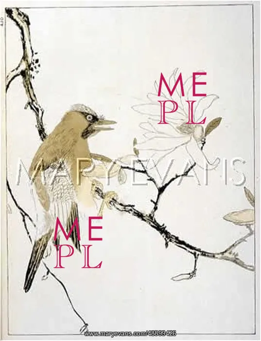  : JAY (JAPANESE)